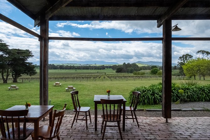 Yarra Valley Wine & Winery Tour from Melbourne - All Inclusive! - Balgownie Estate: Tasting Table, Then Lunch With Wine
