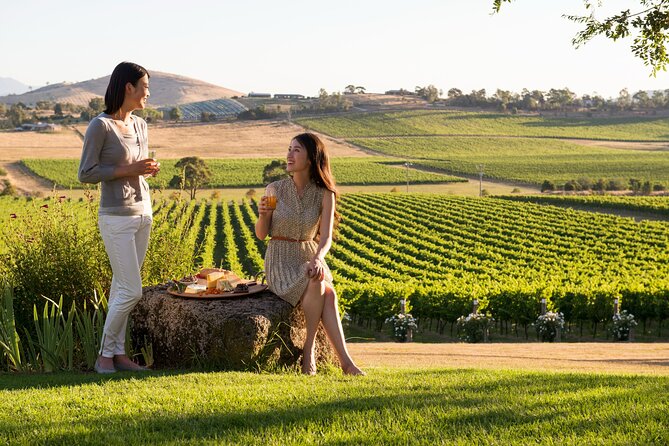 Yarra Valley Wineries Private Day Tour - Key things you’ll notice right away