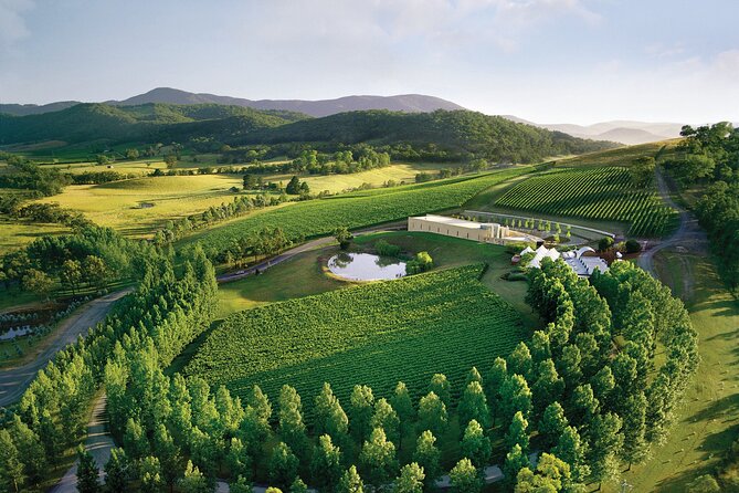 Yarra Valley Wineries Private Day Tour - Stop 1: Up to three boutique wineries with private tastings